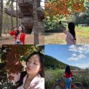 공주 가을여행, 갑사 단풍 공산성 메타세콰이어길 자전거여행코스 추천
