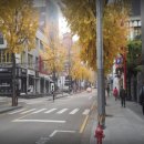 압구정로12길(가로수길) 이미지