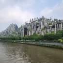 졸업 55주년 기념 샹하이와 우전 여행~~^^ 이미지