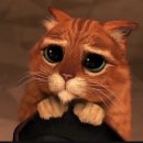 장화신은고양이 이미지