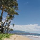 성지약국 이미지