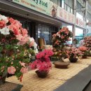 충주자유시장 이미지