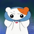 하얀봄 이미지