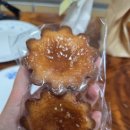 앙디트