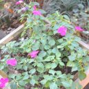 나산세탁소 이미지