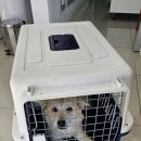 동부 동물병원 이미지