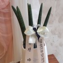 신월동194 이미지