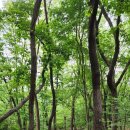 왕숙천변(왕숙교 교각) | 경기옛길 : 평해길 - 제1길 망우왕숙길