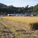 오색농장 이미지