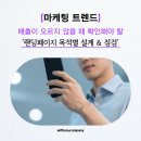 위드유커뮤니케이션 | [온라인 광고]매출이 오르지 않을 때 확인해야 할 랜딩페이지 목적별 설계 & 점검