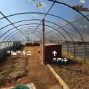 주택약국 Daum카페