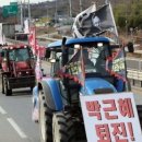 시암골 이미지
