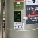 리바이브 체형교정