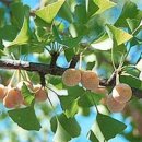 보일농수산 이미지