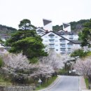 (유)청정환경건설 | 덕유산 리조트 회원권 객실 정보 스프링 시즌 즐기기