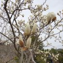 스포원파크 이미지