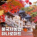 불국사농업협동조합(농협하나로마트) 이미지