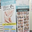 페디베네 이미지