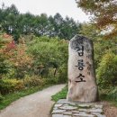 태백종합관광안내소 이미지