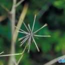 초승달지대 - 포항시 남구 효성로 55 | 초승달지대