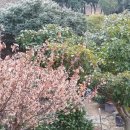 보옥민박 이미지