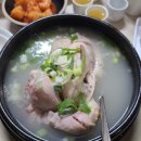 판소리 긴긴밤 | 동화책 &lt;긴긴밤&gt; 원작 판소리보고 펑펑 운 후기