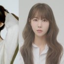 (주)해빈 스타투데이