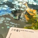 종로-신교-종로-신-166 | [서울:종로] 익선동 분위기 좋은 한옥카페 식물 크로와상, 밀크티