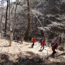 부산식물원 이미지