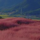 가산수피아 이미지