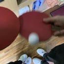 신비탁구클럽
