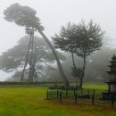 함양 벽송사 (咸陽 碧松寺) 이미지