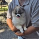 슈앤트리 이미지