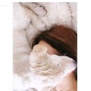굿모닝슈퍼 - 아산시 명암길3번길 12-4 | 굿모닝슈퍼