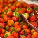 양산 | 양산물금맛집 쿠우쿠우 양산점 솔직후기