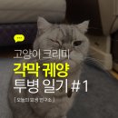 24시스마트동물메디컬센터 이미지