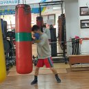 고구려복싱클럽 이미지