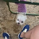 GS25부천다온하브점 | 7월의 첫째 주