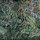 목원대학교 일반대학원 이미지