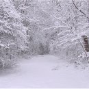 대원아파트(2차) 이미지