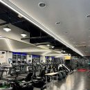 DH웰리스 이미지