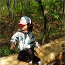 오후의 숲 이미지