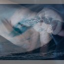 계화농장 | 안녕 나의 사랑스러운 여행자! 구이핑으로 떠나는 특별한 여정 🌸