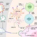 에스티인터네셔널주 이미지