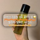 좋은피부 | 모공관리 홈케어 지성피부 쓰기좋은 셀뷰린 에센스 후기