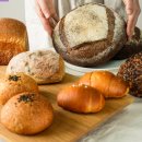 상월로 | 속이 편안한 '상월제빵소 건강한 빵' 4종 솔직 후기