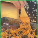 바다산성 이미지