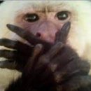 청솔장모텔 이미지