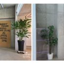 빛글협동조합 이미지