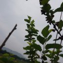 무안고등학교 이미지